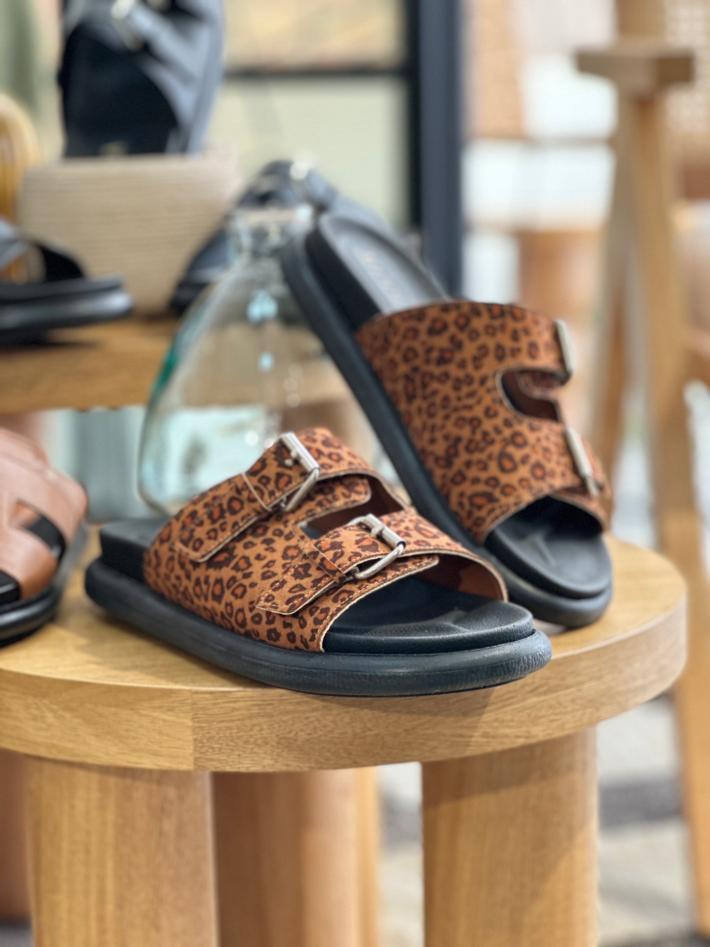 CANOAS BARBUDO EN ANIMAL PRINT