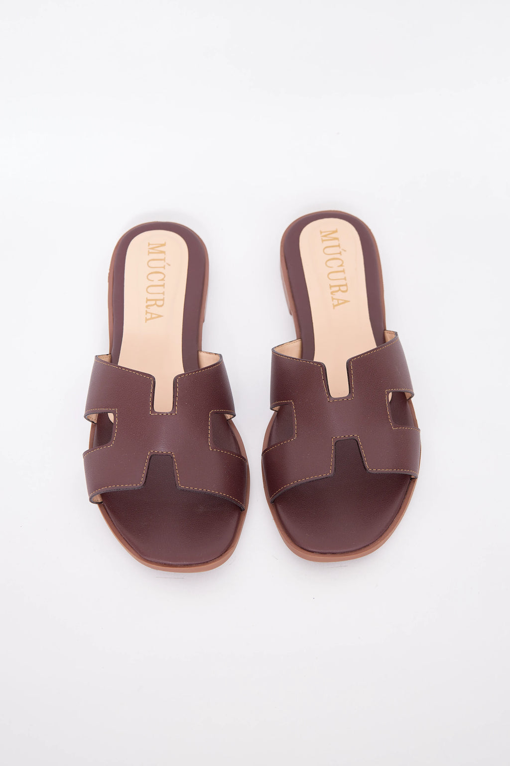 MÚCURA EN VINO TINTO