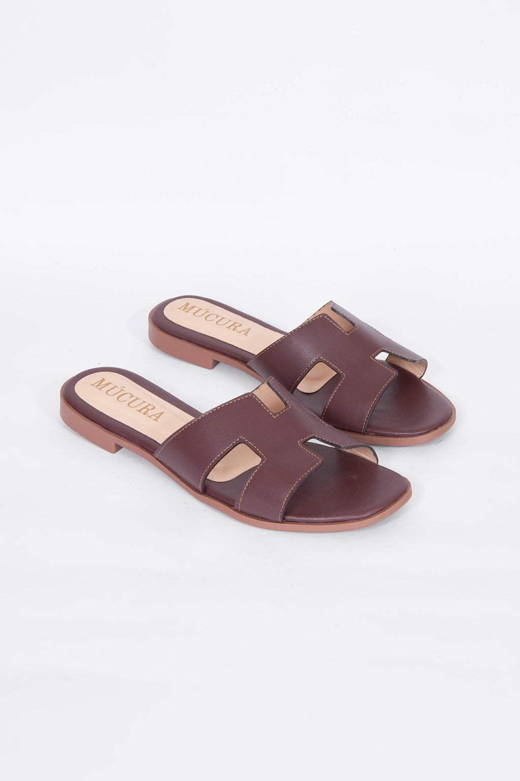 MÚCURA EN VINO TINTO