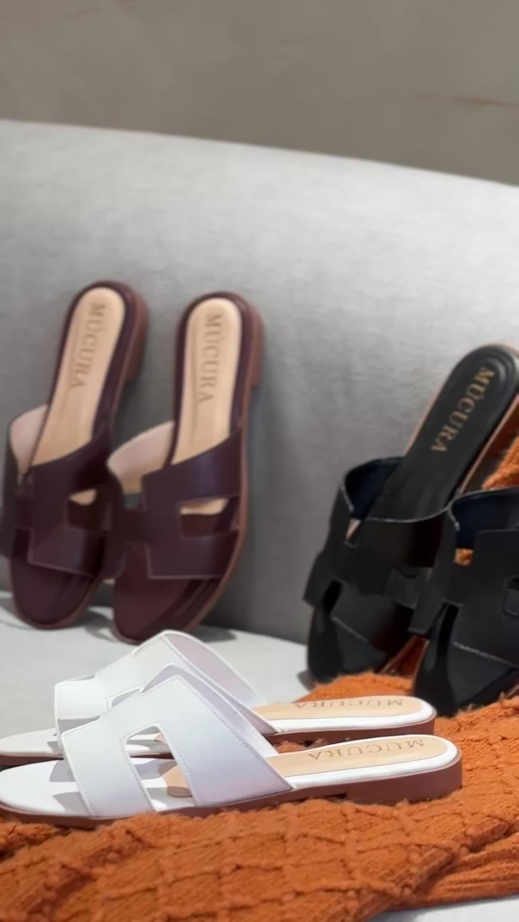 MÚCURA EN VINO TINTO